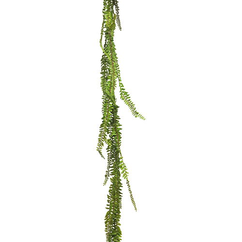 https://cdn.warentuin.nl/media/catalog/product/S/C/SCAN8505432060018_nova_nature_kunsthangplanten_kunst_fern_garland_green_180_cm__65b1.jpg
