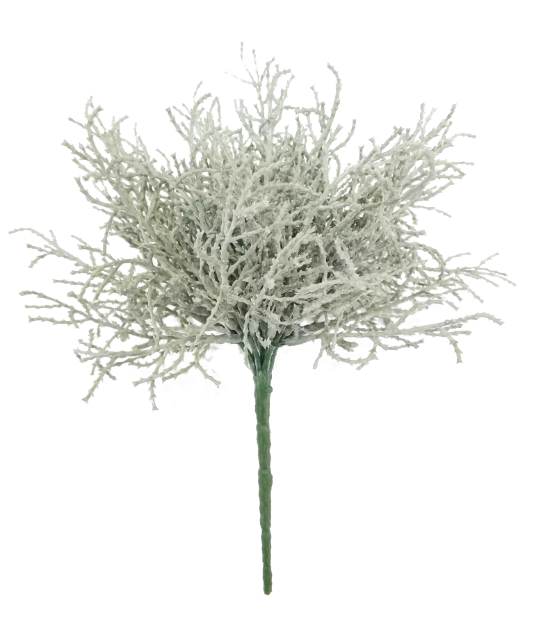 https://cdn.warentuin.nl/media/catalog/product/S/C/SCAN8505432122099_innovative_zijdebloem_santolina_lvs_plant_grey_25cm_innovativ_d431.png