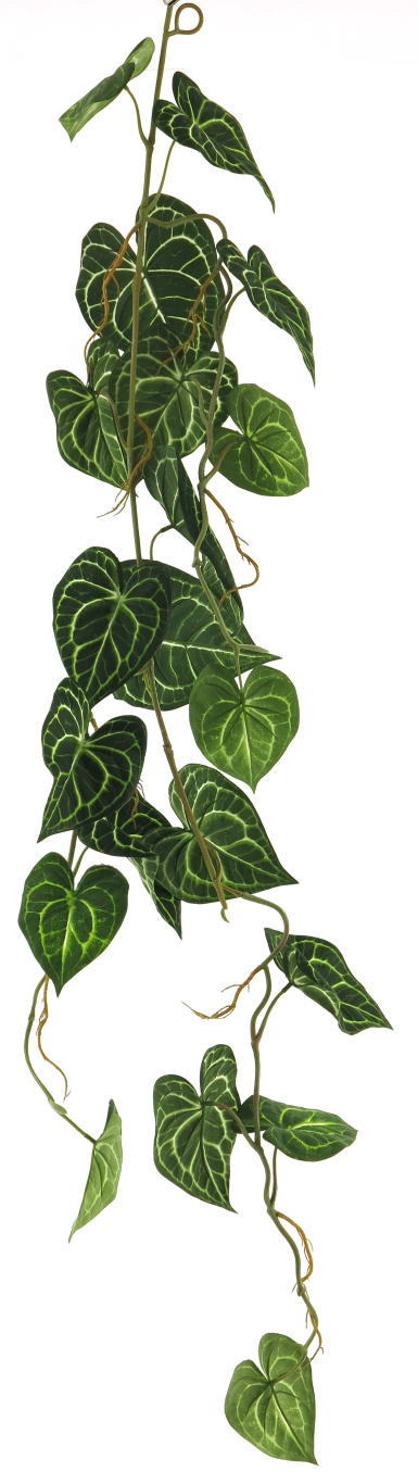https://cdn.warentuin.nl/media/catalog/product/S/C/SCAN8505432367018_innovative_zijdebloem_scindapsus_alba_garland_green_109cm_inn_7203.png