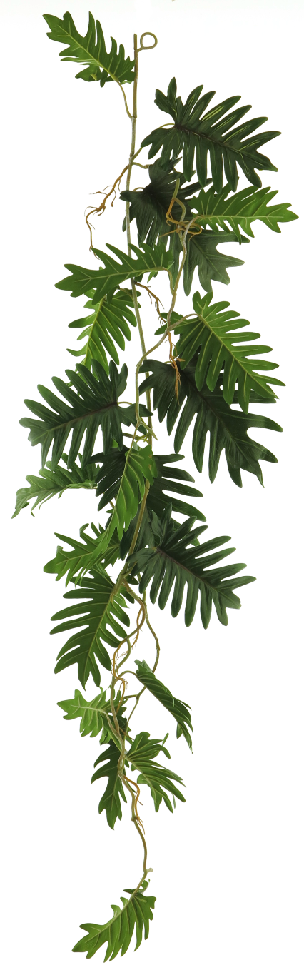 https://cdn.warentuin.nl/media/catalog/product/S/C/SCAN8505432371015_innovative_zijdebloem_philo_seloum_garland_green_105cm_innova_77c2.png