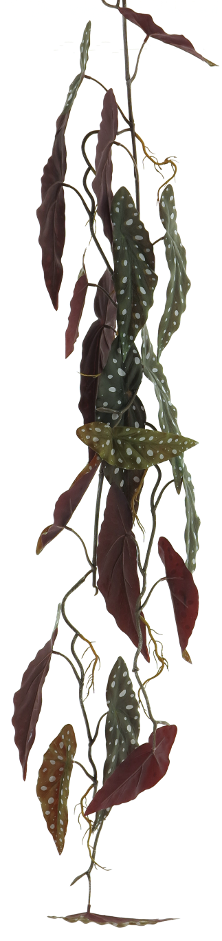 https://cdn.warentuin.nl/media/catalog/product/S/C/SCAN8505432378014_bestbegonia_polkadots_leaf_garland_green_105cm_65e1.png