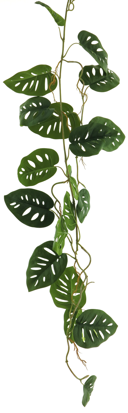 https://cdn.warentuin.nl/media/catalog/product/S/C/SCAN8505432386019_innovative_zijdebloem_philo_split_leaf_garland_green_120cm_in_0205.png