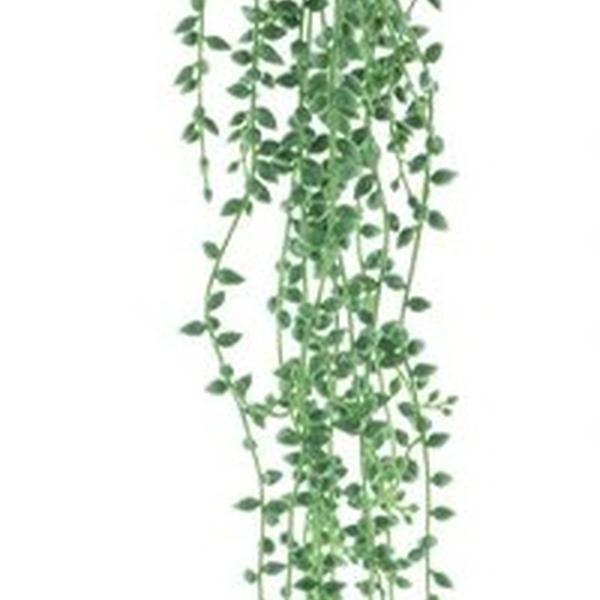 https://cdn.warentuin.nl/media/catalog/product/S/C/SCAN8505432591017_01_hanging_senecio_green_86_cm_kunstplant__6439.jpg
