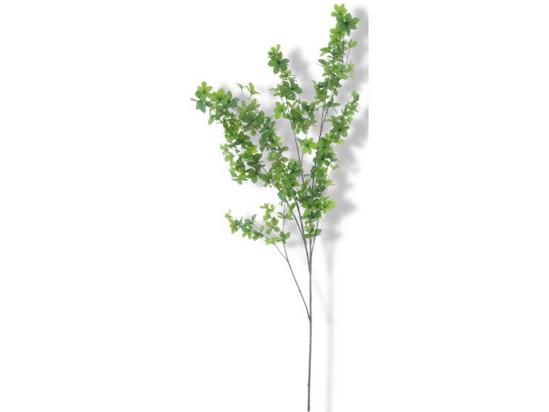 https://cdn.warentuin.nl/media/catalog/product/S/C/SCAN8505432614013_01_nova_nature_mini_maple_leaf_branch_green_170_19c6.jpg