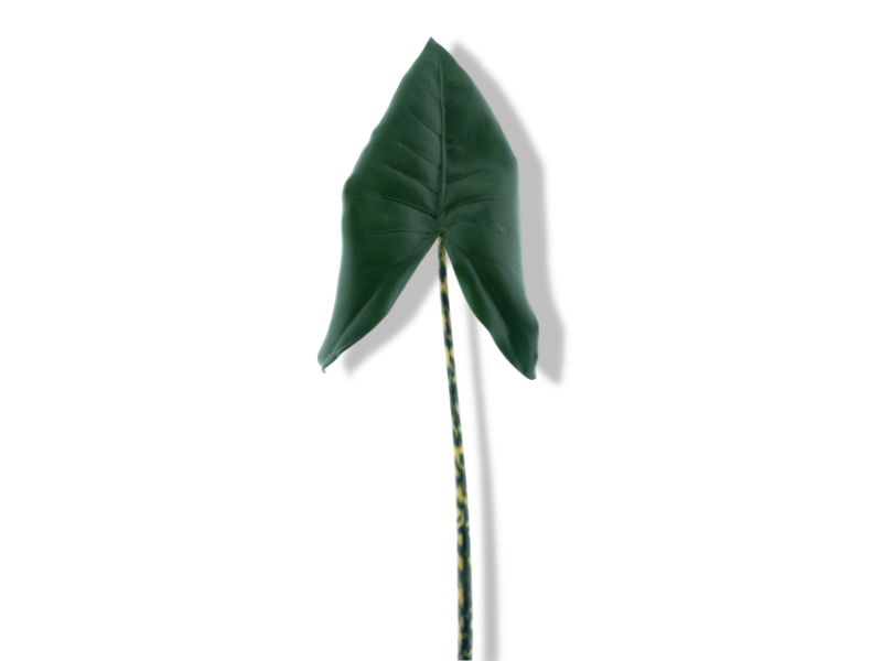 https://cdn.warentuin.nl/media/catalog/product/S/C/SCAN8505432889015_01_nova_nature_calla_lily_leaf_green_104_cm_kun_6993.jpg