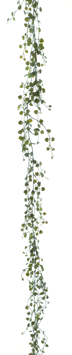 https://cdn.warentuin.nl/media/catalog/product/S/C/SCAN8505432916025_best_button_leaf_garland_dk_green_165cm_92df.png