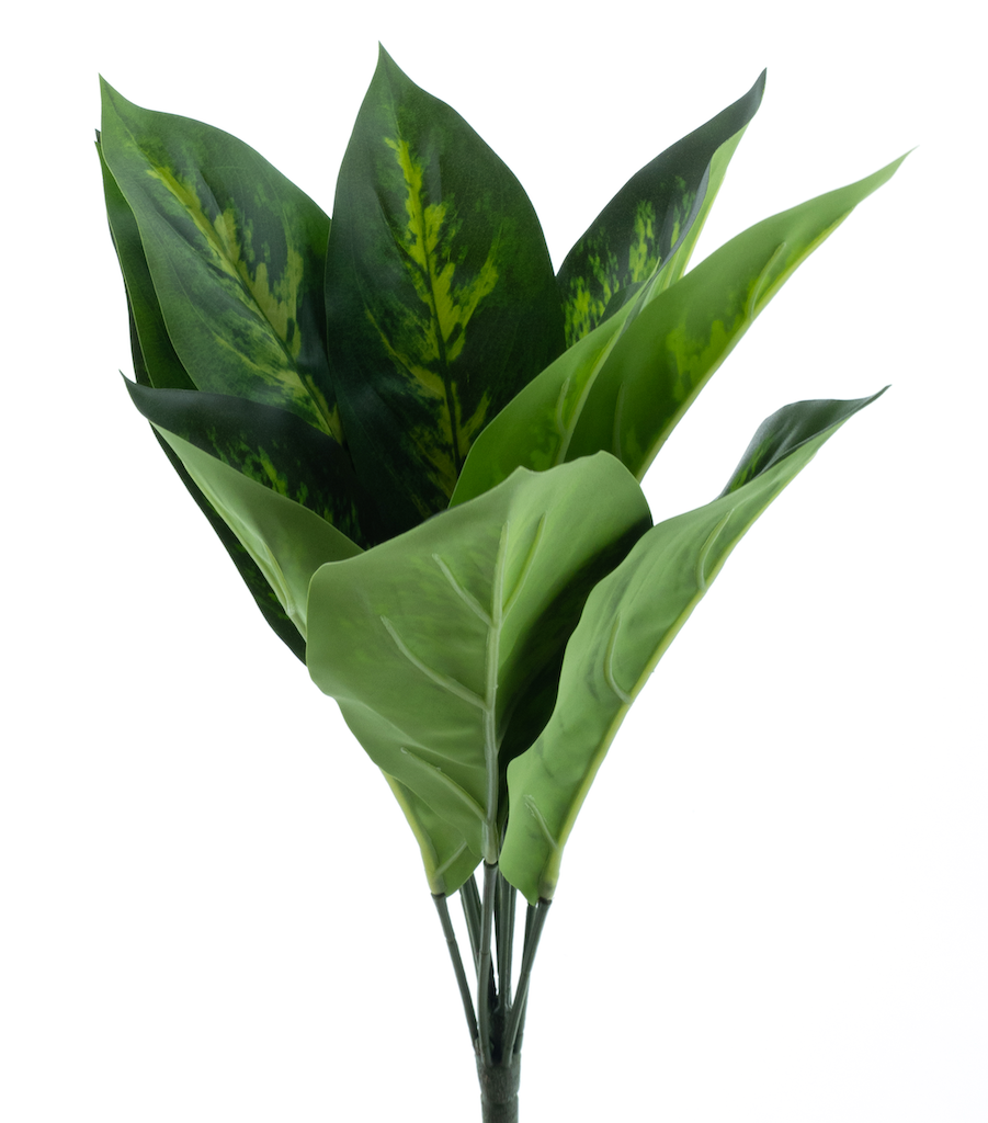 https://cdn.warentuin.nl/media/catalog/product/S/C/SCAN8505432922002_nova_nature_kunstbloemen_aglaonema_plant_cream__fc06.png