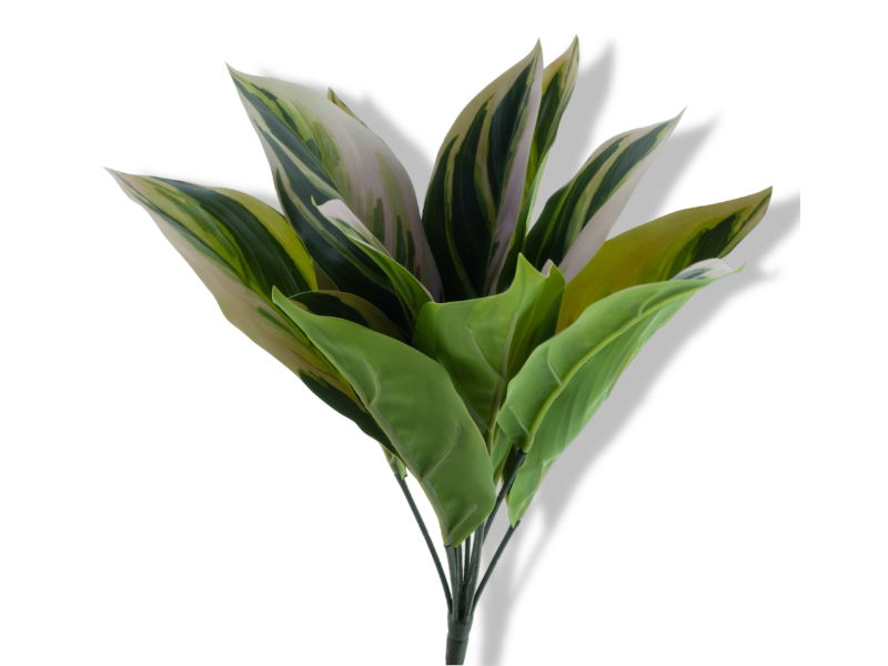 https://cdn.warentuin.nl/media/catalog/product/S/C/SCAN8505432922071_01_nova_nature_aglaonema_plant_roze_groen_44_cm_d0dd.jpg