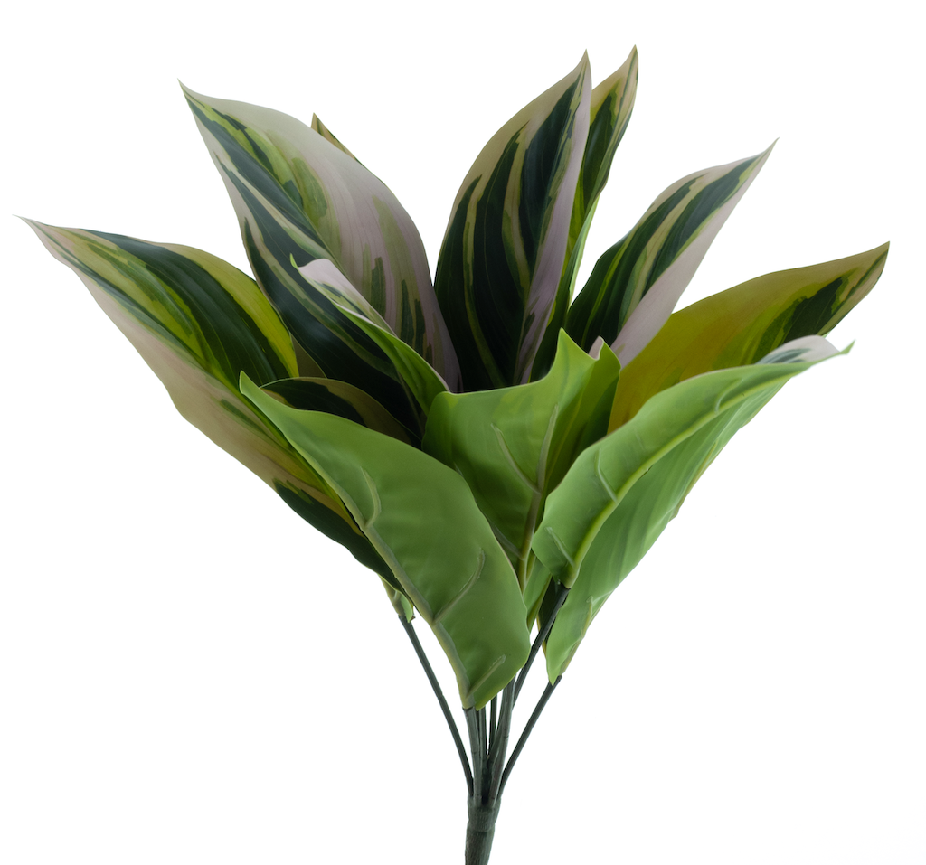 https://cdn.warentuin.nl/media/catalog/product/S/C/SCAN8505432922071_nova_nature_kunstbloemen_aglaonema_plant_pink_g_996d.png
