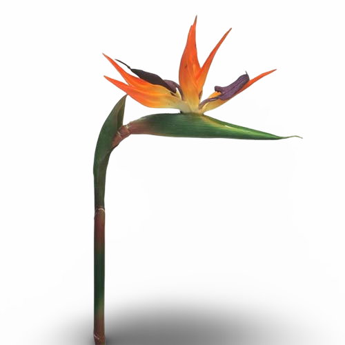 https://cdn.warentuin.nl/media/catalog/product/S/C/SCAN8505451217950_01_strelitzia_small_84_cm_oranje_kunstplant_nova_nature_b607.jpg