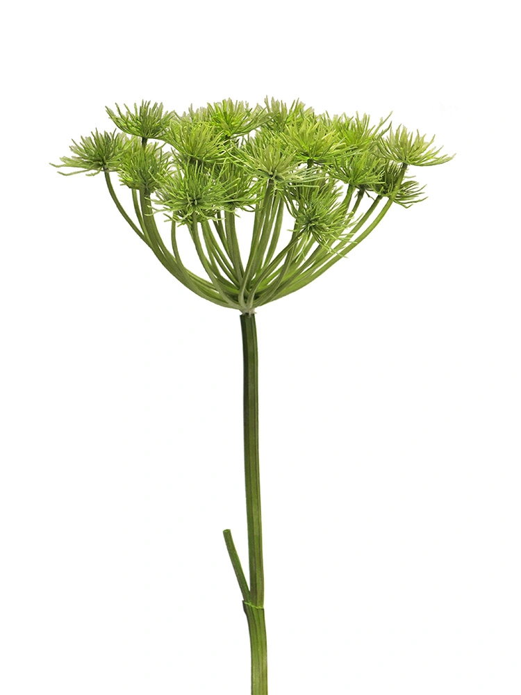https://cdn.warentuin.nl/media/catalog/product/S/C/SCAN8505451260512_heracleum_groen_98_cm_kunstbloem_buitengew_bf52.jpg