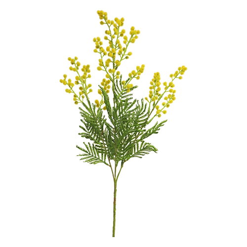 https://cdn.warentuin.nl/media/catalog/product/S/C/SCAN8505451288424_nova_nature_kunstbloemen_mimosa_eloise_yellow_68_cm_kunstbloe_1db7.jpg
