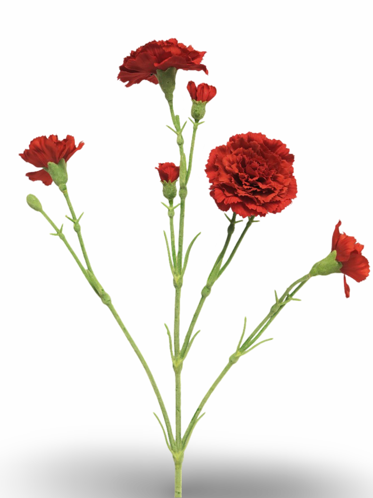 https://cdn.warentuin.nl/media/catalog/product/S/C/SCAN8505451297433_01_c56f.png
