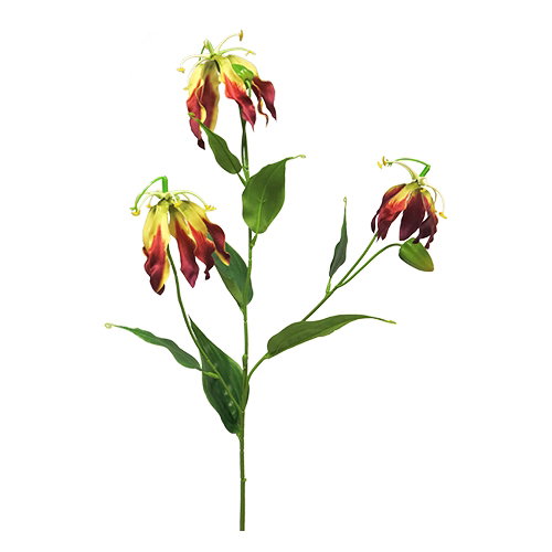 https://cdn.warentuin.nl/media/catalog/product/S/C/SCAN8505451297563_nova_nature_kunstbloemen_gloriosa_michelle_burgundy_84_cm_kun_3ba7.jpg