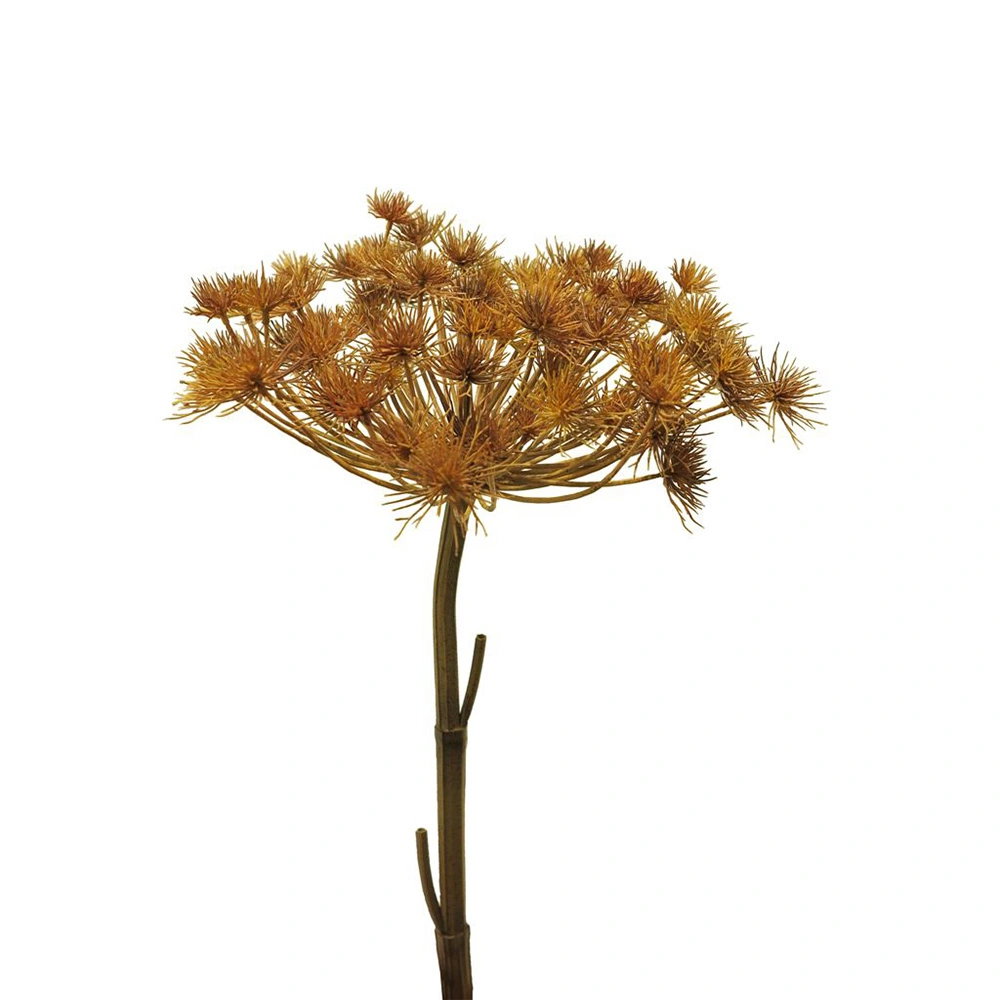 https://cdn.warentuin.nl/media/catalog/product/S/C/SCAN8505451301482_giant_heracleum_bruin_98_cm_kunstbloem_bui_4262.jpg