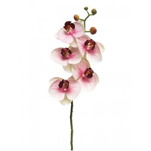 https://cdn.warentuin.nl/media/catalog/product/S/C/SCAN8505451301574_nova_nature_kunstbloemen_kunst_phalaenopsis_orchidee_bora_58__9af5.jpg