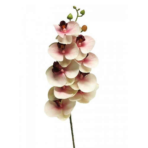 https://cdn.warentuin.nl/media/catalog/product/S/C/SCAN8505451301673_nova_nature_kunstbloemen_phalaenopsis_orchidee_bora_77_cm_roz_60e5.jpg
