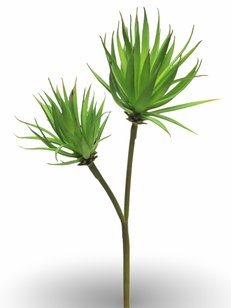 https://cdn.warentuin.nl/media/catalog/product/S/C/SCAN8505451307910_01_3e01.png