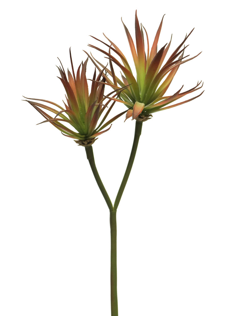 https://cdn.warentuin.nl/media/catalog/product/S/C/SCAN8505451307934_innovative_zijdebloem_agave_plant_pick_x2_red_64cm_innovative_977b.png