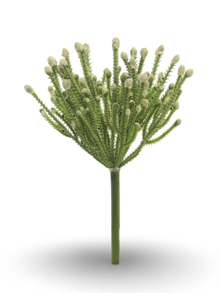https://cdn.warentuin.nl/media/catalog/product/S/C/SCAN8505451310514_01_e7d5.png
