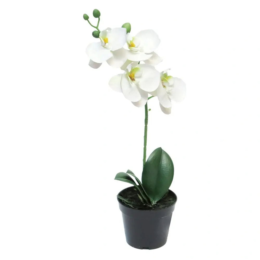 https://cdn.warentuin.nl/media/catalog/product/S/C/SCAN8505451345004_phalaenopsis_bora_in_pot_white_35_cm_kunst_5315.jpg