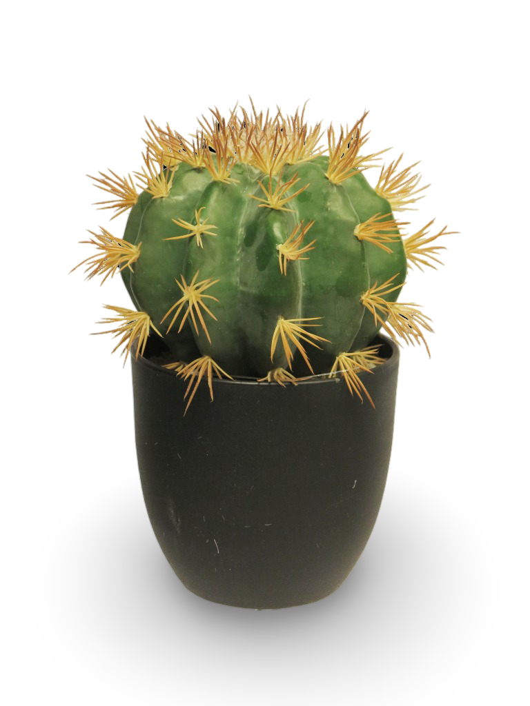 https://cdn.warentuin.nl/media/catalog/product/S/C/SCAN8505451563019_01_b369.png