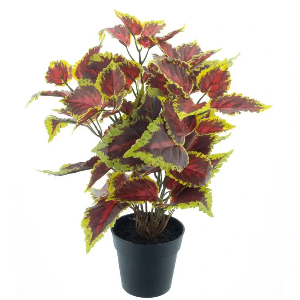 https://cdn.warentuin.nl/media/catalog/product/S/C/SCAN8505452255050_coleus_blumei_in_pot_oranje_40_cm_kunstpla_9534.jpg