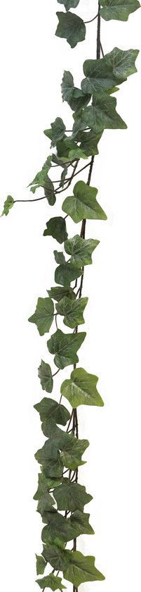 https://cdn.warentuin.nl/media/catalog/product/S/C/SCAN8505453100502_Kunst_Frosted_Ivy_Chicago_Guirlande___180_cm_Kunsthangplanten_81e0.jpg