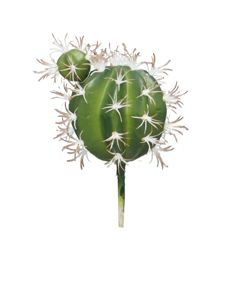 https://cdn.warentuin.nl/media/catalog/product/S/C/SCAN8505453127417_so_bol_cactus_green_15cm_12f3.png