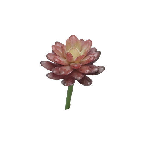 https://cdn.warentuin.nl/media/catalog/product/S/C/SCAN8505453127660_nova_nature_kunsttakken_kunst_sedum_pick_bordeaux_16_cm_kunst_69f5.jpg
