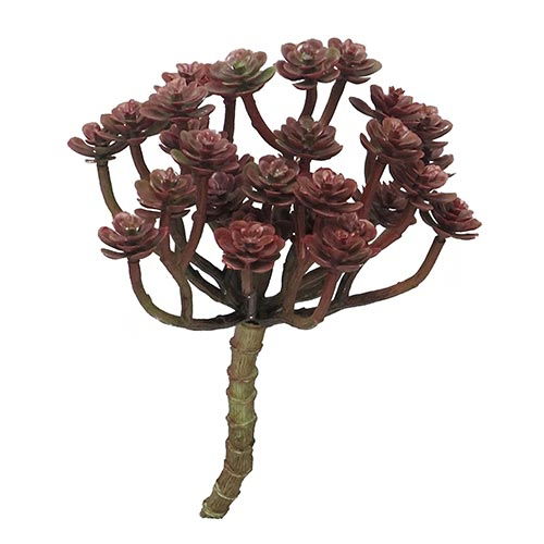 https://cdn.warentuin.nl/media/catalog/product/S/C/SCAN8505453127769_nova_nature_groene_kunstplant_cacta_rood_19_cm_kunstplant_8c33.jpg