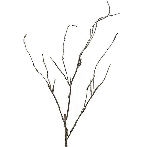 https://cdn.warentuin.nl/media/catalog/product/S/C/SCAN8505453130882_nova_nature_kunsttakken_wood_twig_cordata_95_cm_kunsttak_4b9e.jpg