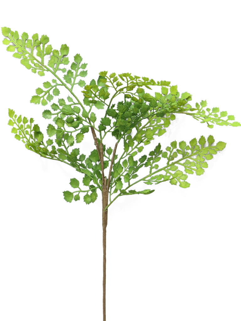 https://cdn.warentuin.nl/media/catalog/product/S/C/SCAN8505453135016_nova_nature_kunstbloemen_fern_maiden_hair_lvs_g_47f5.png