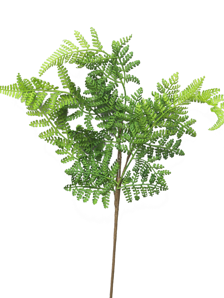 https://cdn.warentuin.nl/media/catalog/product/S/C/SCAN8505453135214_best_athyrium_leaf_spray_green_57cm_6b54.png