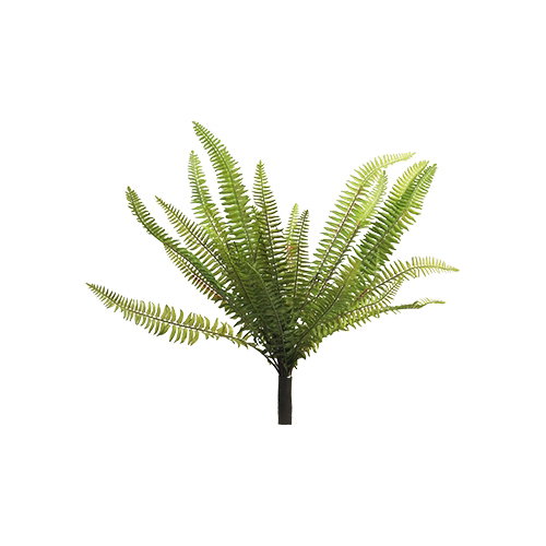 https://cdn.warentuin.nl/media/catalog/product/S/C/SCAN8505453185516_nova_nature_groene_kunstplant_nephrolepis_boston_green_40_cm__8dd7.jpg