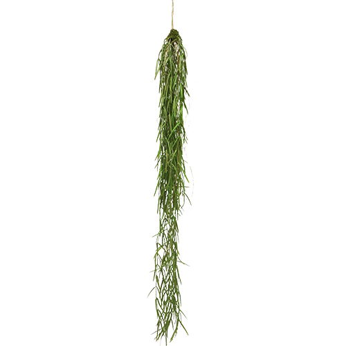 https://cdn.warentuin.nl/media/catalog/product/S/C/SCAN8505454025514_nova_nature_kunsthangplanten_kunst_hanging_sprengeri_bush_gre_d2eb.jpg