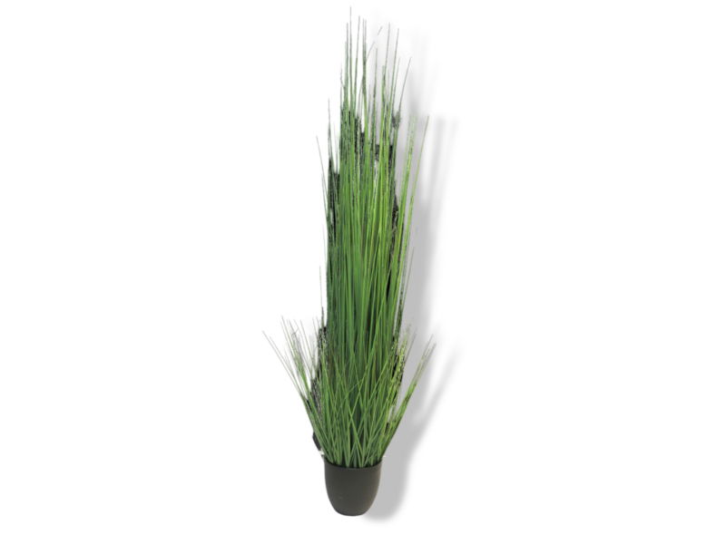 https://cdn.warentuin.nl/media/catalog/product/S/C/SCAN8505455133812_01_nova_nature_king_festuca_green_in_pot_150cm__3a08.jpg
