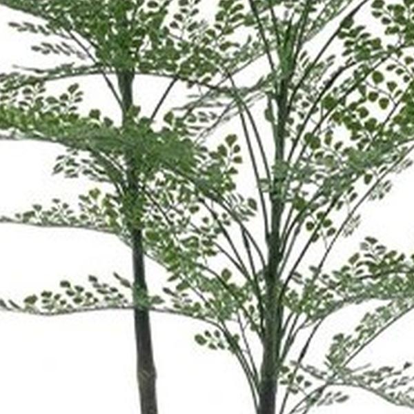 https://cdn.warentuin.nl/media/catalog/product/S/C/SCAN8505455228419_01_maidenhair_fern_cuba_in_pot_140_cm_kuns_79cf.jpg