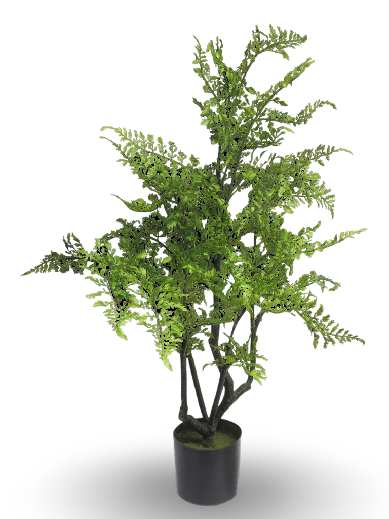 https://cdn.warentuin.nl/media/catalog/product/S/C/SCAN8505456037119_01_ff89.png