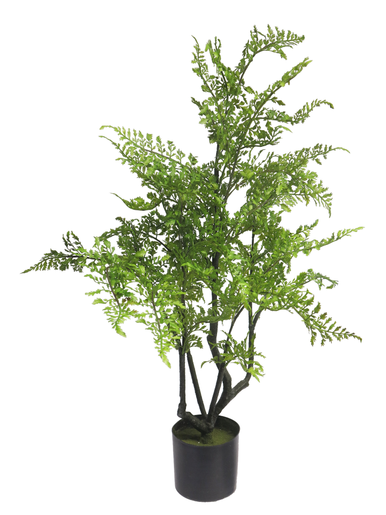 https://cdn.warentuin.nl/media/catalog/product/S/C/SCAN8505456037119_leather_fern_tree_in_pot_green_85cm_c8ec.png