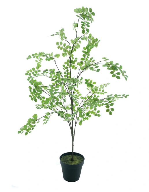 https://cdn.warentuin.nl/media/catalog/product/S/C/SCAN8505456094310Button_leaf_tree_in_pot_green_175_4b69.png