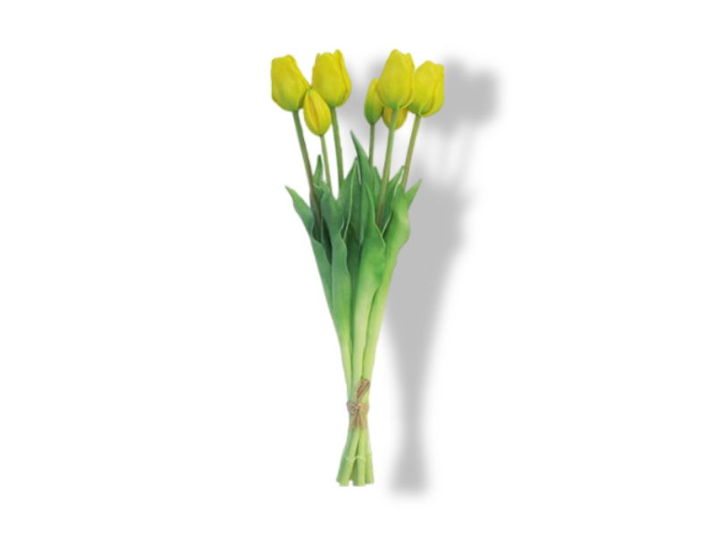 https://cdn.warentuin.nl/media/catalog/product/S/C/SCAN8505458701728_01_buitengewoon_de_boet_classic_tulip_tulp_duch_6a31.jpg