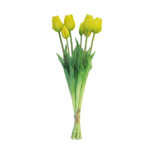 https://cdn.warentuin.nl/media/catalog/product/S/C/SCAN8505458701728_nova_nature_kunstbloemen_classic_tulip_sally_7_st_geel_47_cm__e093.jpg