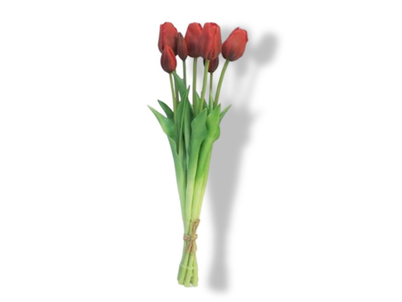 https://cdn.warentuin.nl/media/catalog/product/S/C/SCAN8505458701735_01_buitengewoon_de_boet_bosje_tulpen_tulp_duche_76cb.jpg