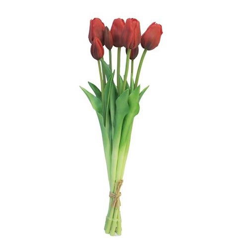 https://cdn.warentuin.nl/media/catalog/product/S/C/SCAN8505458701735_nova_nature_kunstbloemen_bosje_tulpen_sally_classic_rood_kuns_0d72.jpg