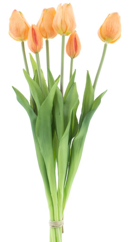 https://cdn.warentuin.nl/media/catalog/product/S/C/SCAN8505458701742_nova_nature_kunstbloemen_pso_classic_tulip_bundle_sally_x7_pe_68ec.jpg