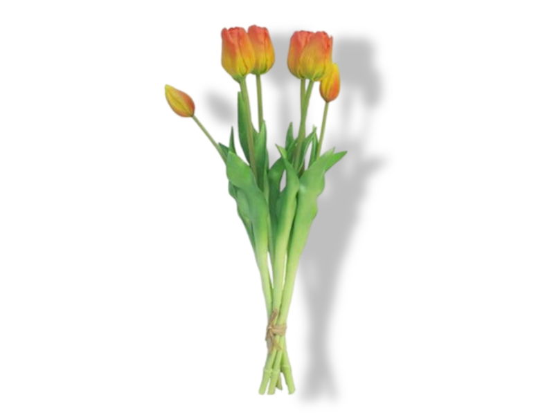 https://cdn.warentuin.nl/media/catalog/product/S/C/SCAN8505458701759_01_buitengewoon_de_boet_bosje_tulpen_tulp_duche_0b02.jpg