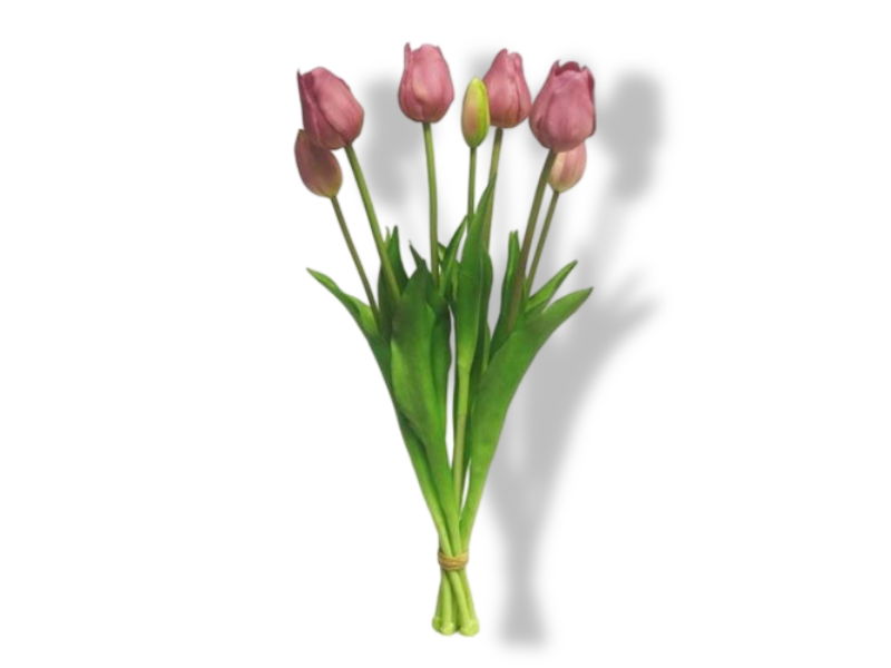 https://cdn.warentuin.nl/media/catalog/product/S/C/SCAN8505458701797_01_buitengewoon_de_boet_bosje_tulpen_tulp_duche_24f2.jpg