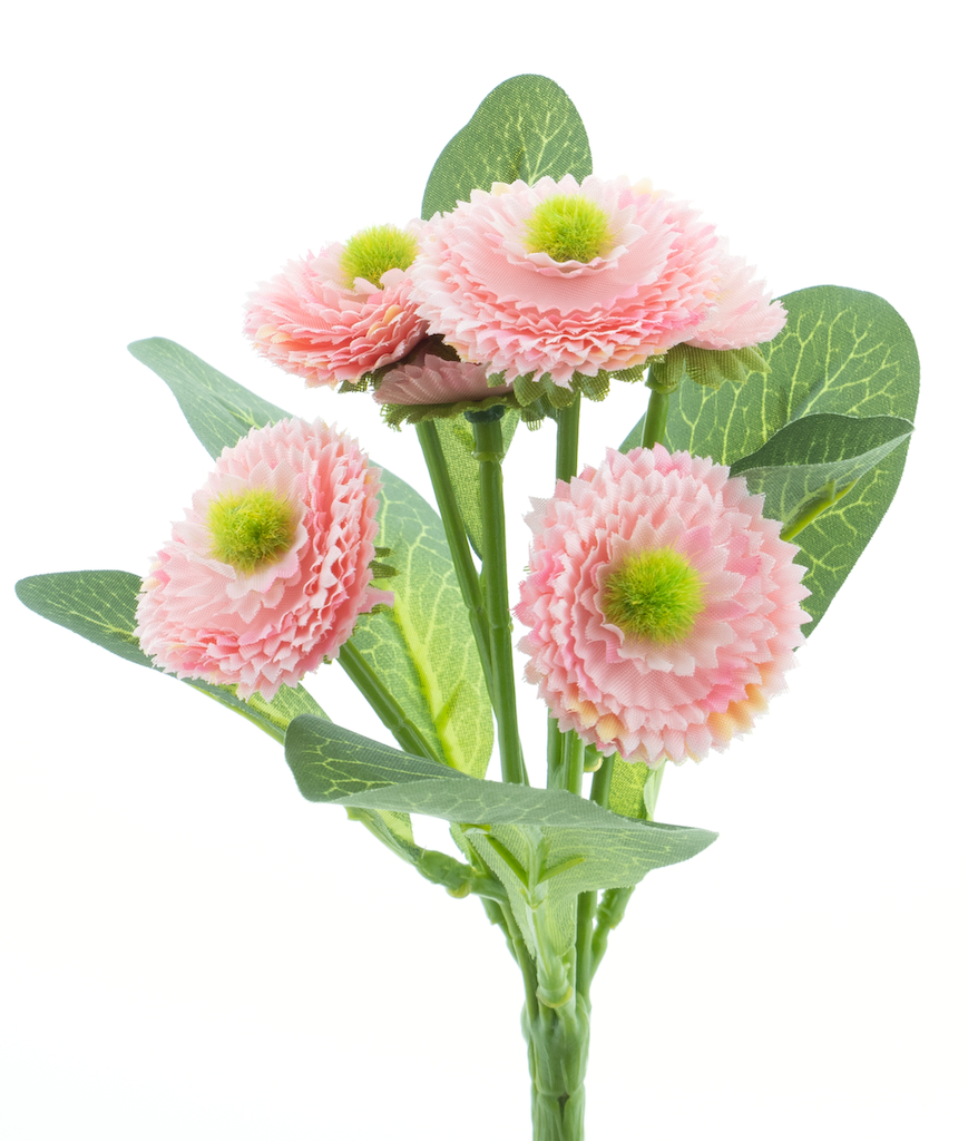 https://cdn.warentuin.nl/media/catalog/product/S/C/SCAN8505458822478_nova_nature_kunstbloemen_bellis_bush_x6_pink_20_5f46.png