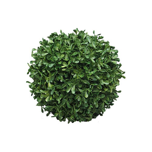https://cdn.warentuin.nl/media/catalog/product/S/C/SCAN8505459096113_nova_nature_groene_kunstplant_box_princeville_ball_20_cm_kuns_d30e.jpg